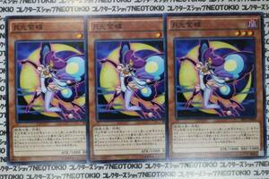 遊戯王 月光紫蝶(ノーマル)×3枚セット