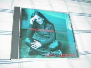 Pete Sandberg 「BACK IN BUSINESS」 ALIEN関連 メロディアス・ハード系名盤 MAD INVASION関連