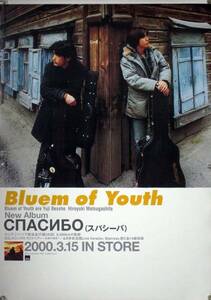 Bluem of Youth Bloom *ob* Youth B2 постер (1R17009)