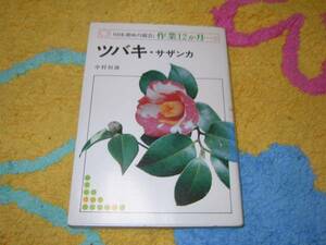 NHK hobby. gardening * work 12. month 1 camellia *sa The nka Nakamura . male 