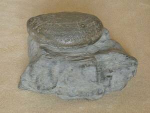 { suiseki st * scenery stone }* ash * tea # left right 17cm/2.5kg