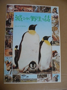 ＧＥ　滅びゆく野生の歌 映画パンフレット1972年ドキュメンタリー野生動物