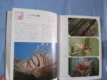 ☆カラー百科シリーズ　　⑧　　　　沖縄の自然　〔　魚　〕　　　　　　　【琉球・自然・海洋生物】_画像2