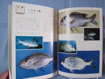 ☆カラー百科シリーズ　　⑧　　　　沖縄の自然　〔　魚　〕　　　　　　　【琉球・自然・海洋生物】_画像3