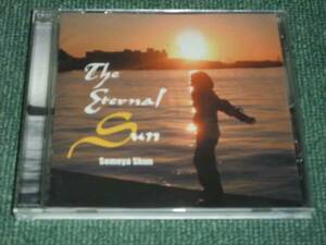 ★即決★CD【染谷俊/The Eternal Sun】■