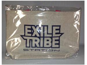 ☆EXILE TRIBE STATION トートバッグ☆L