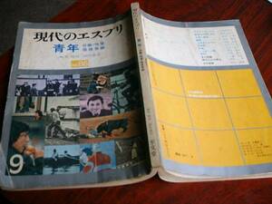 値下げ 送料無料　現代のエスプリ　青年（労働・恋愛・価値意識）