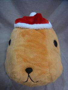 [ pretty Kapibara-san me Lee Christmas BIG!]