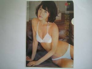  clear file . side . good * new goods unopened 