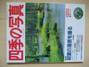 四季の写真　初夏の湿原を撮る　創刊２号