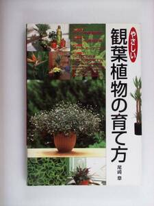 やさしい観葉植物の育て方