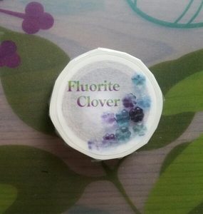 マスキングテープ mt ちっちゃいもの工房 限定 Fluorite Clover