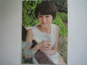  clear file Suzuki ...* new goods unopened 