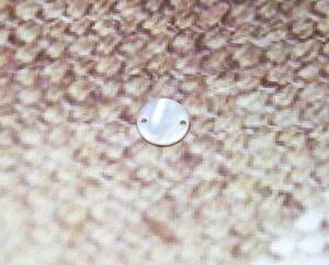●○淡水真珠 貝　パーツ　11mm 50個　ニットに、かばんに○.