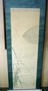Art hand Auction d▼♪Sea★Hosoya Matsunami/Pergamino colgante [Suzumushi/Escena de otoño] Pintado a mano, cuadro, pintura japonesa, paisaje, Fugetsu