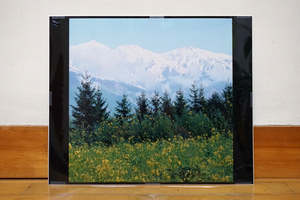  photograph house ... person (S.Azuma)/........ white horse three mountain ... flower [ half cut ]