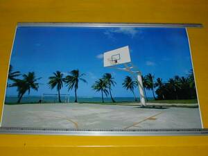 *[ world. scenery ]PO-23[ basket beach ] poster new goods 