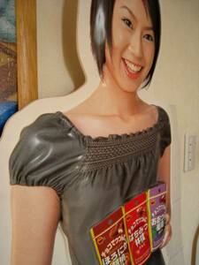 Ami Suzuki Ami Suzuki Life -Size Pop Poster Pop панель CD Photo DVD