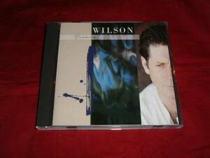 CD【ブライアン・ウィルソン/Brian Wilson】●即決