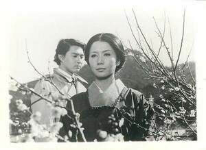 p10060岩下志麻『辻が花(1972』スチル