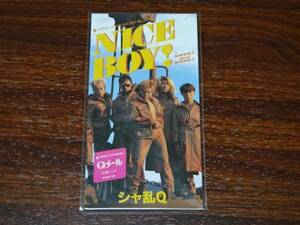 新品 シャ乱Ｑ NICE BOY! 廃盤8cmCD