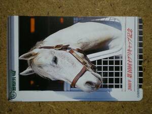 I401*. pine ...o Gris cap horse racing telephone card 