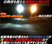 2球)T20白色◇CREE 7WハイパワークリスタルLED 車検対応_画像3