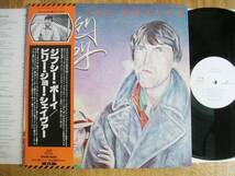 【帯LP】ビリージョーシェイヴァー(VIP6494ビクター音産/CAPRICORN1978年WLP白見本SSW国内初回obiBILLY JOE SHAVER/GYPSY BOY)_画像1