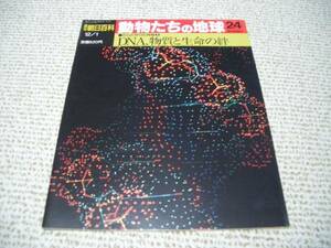 動物たちの地球24からだ作りの神秘2DNA物質と生命の絆朝日新聞社◆ゆうパケット