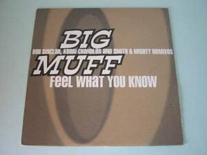 □試聴□Big Muff - Feel What You Know/Kerri Chandler□