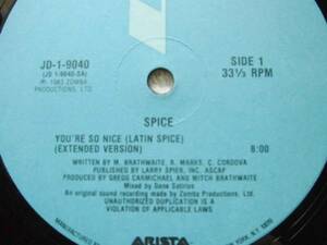 Spice/You're So Nice (Latin Spice)/Gregg Carmichael/モダン