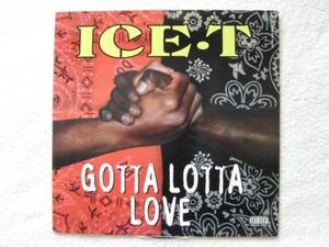 Ice-T/Gotta Lotta Love/ＣＤ~ＬＰ５点以上送料無料