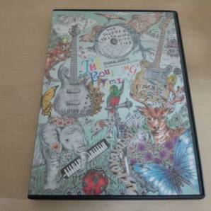 シャカラビッツDVD「THE BOUNCING FAMILY」SHAKALABBITS●