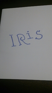Iris ■ Великобритания ■ Брошюра для прессы ■