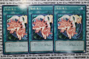 遊戯王 強制進化(レア)×3枚セット