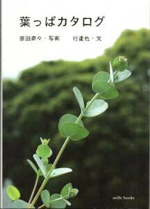 送料無料★単行本◆葉っぱカタログ 行達也 原田奈々 “可愛い”葉っぱ ヨウシュコバンノキ ジャノメエリカ ツルニチニチソウ アイビー