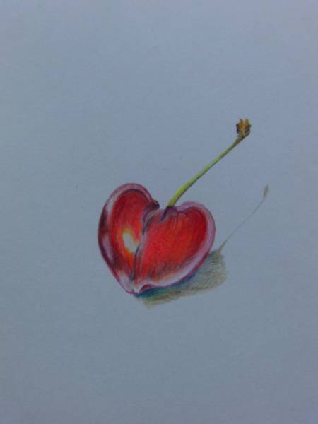 National Art Association Kiyomi Araki, cherry, Colored pencils, original drawings, Brand new with frame and certificate, Artwork, Painting, Pencil drawing, Charcoal drawing