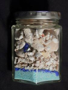 Art hand Auction ☆Botella de coral y mariscos de Okinawa apilable tamaño mediano B☆, Artículos hechos a mano, interior, bienes varios, ornamento, objeto
