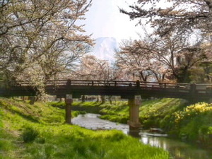  World Heritage Mt Fuji 18 photograph A4 moreover, 2L version amount attaching 