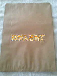 発送にもR20サイズ☆無地平袋☆B5が入るサイズ紙袋40枚