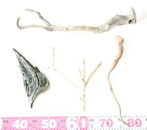 [ driftwood shop ] driftwood /B-65(4 piece )