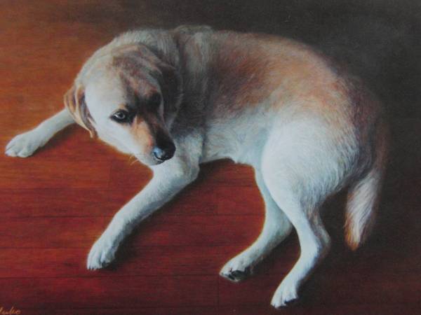 Yuko Tanaka Ich bin ein Hund, Aus einem seltenen Kunstbuch, Ganz neu mit Rahmen, Malerei, Ölgemälde, Natur, Landschaftsmalerei