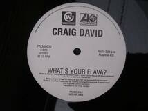 12/CRAIG DAVID/WHAT'S YOUR FLAVA?_画像3
