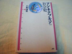 アンネナプキンの社会史★小野清美1992年★生理用品衛生女性文化