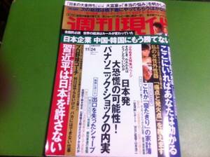 週刊現代　2012.11.24 市川由衣　愛美モコ　大竹一重