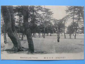 戦前絵葉書 敦賀 松原公園 福井 (E60)