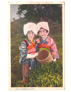 戦前絵葉書 茶畑 茶摘み 和装 着物 少女 女性 静岡市大正写真館1