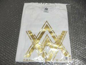 【送料無料】EXILE LIVE TOUR 2015 AMAZING WORLD Ｔシャツ Mサイズ グッズ