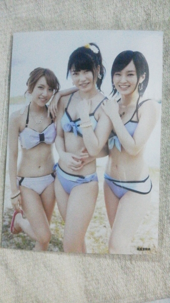 Amazon.co.jp: AKB48 公式生写真 ラブラドール・レトリバー 封入