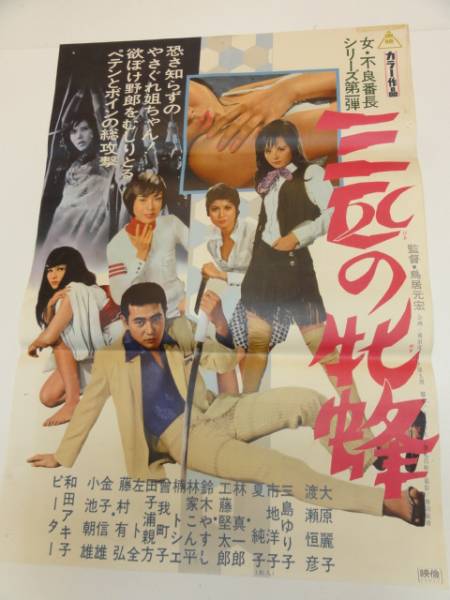 三匹の牝蜂 [DVD] khxv5rg 三匹の牝蜂('70東映) DVD - メルカリ